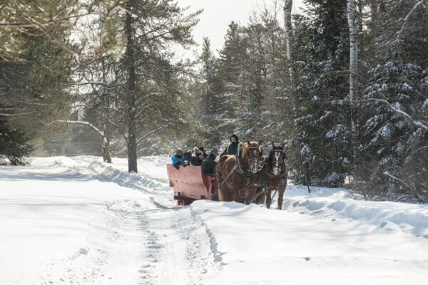 Spring Break in Mont Tremblant - Sleigh Ride