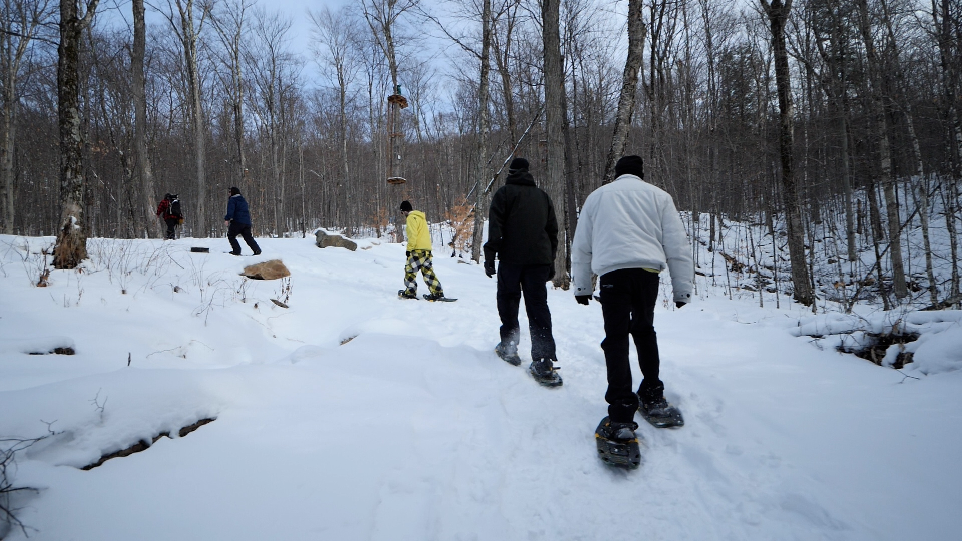 Snowshoeing Tours MontTremblant The Activity Centre