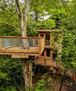 Tremblant Treehouse Rentals