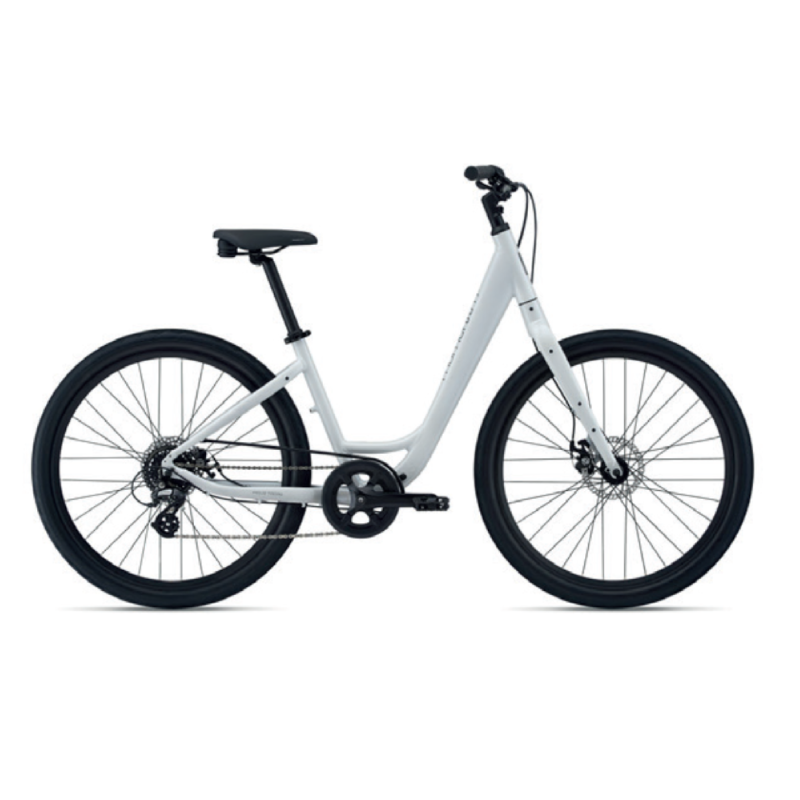 Location de vélo récréatif