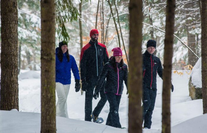 Quatre personnes en tenue d'hiver se promènent ensemble dans une forêt enneigée du Domaine Saint-Bernard, entourée d'arbres - idéal pour profiter d'une location de raquettes ou d'une location de crampons.