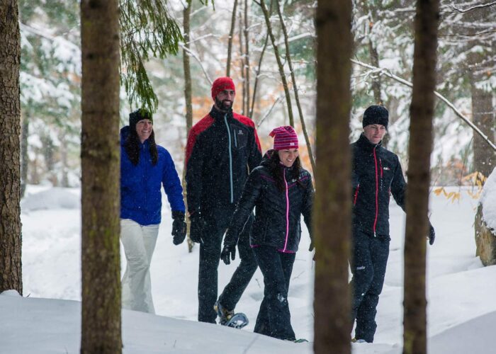 Four people dressed in winter clothing walk together through a snowy forest, surrounded by trees and snow-covered ground.
