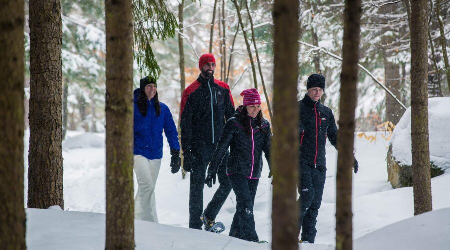 Four people dressed in winter clothing walk together through a snowy forest, surrounded by trees and snow-covered ground.
