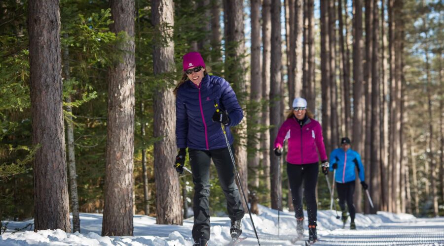 Trois personnes font du ski de fond sur une piste enneigée dans une forêt avec de grands arbres, en portant des vestes et des bonnets d’hiver. Trois personnes font du ski de fond sur une piste enneigée dans une forêt avec de grands arbres, en portant des vestes et des bonnets d'hiver.