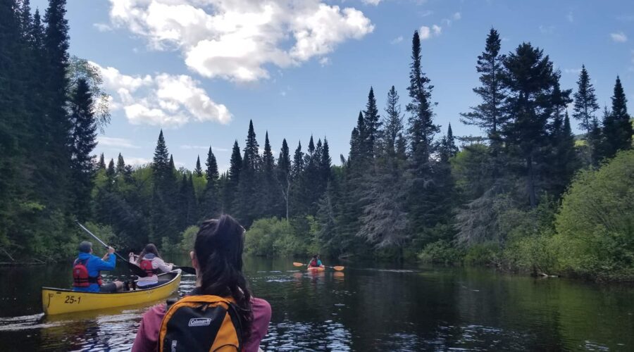 People paddle canoes and kayaks on a calm river surrounded by dense evergreen trees under a partly cloudy sky.