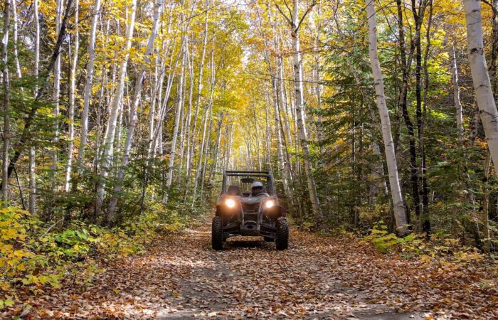 An off-road vehicle with headlights on drives along a dirt path covered with autumn leaves, surrounded by tall trees with yellow and green foliage.
