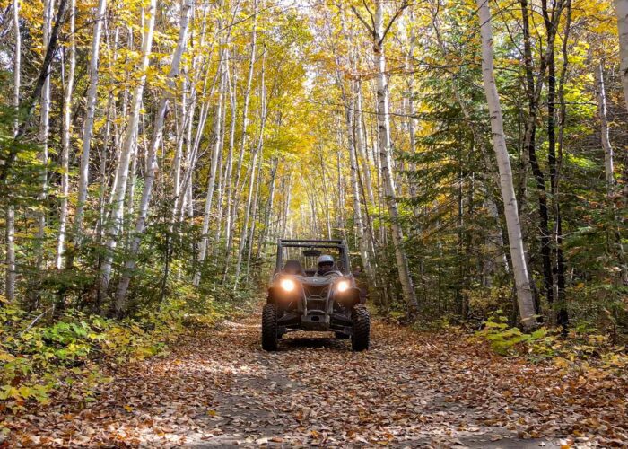 An off-road vehicle with headlights on drives along a dirt path covered with autumn leaves, surrounded by tall trees with yellow and green foliage.