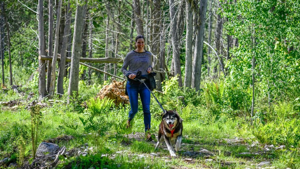A person walks a large dog on a leash along a green forest trail during daylight.
