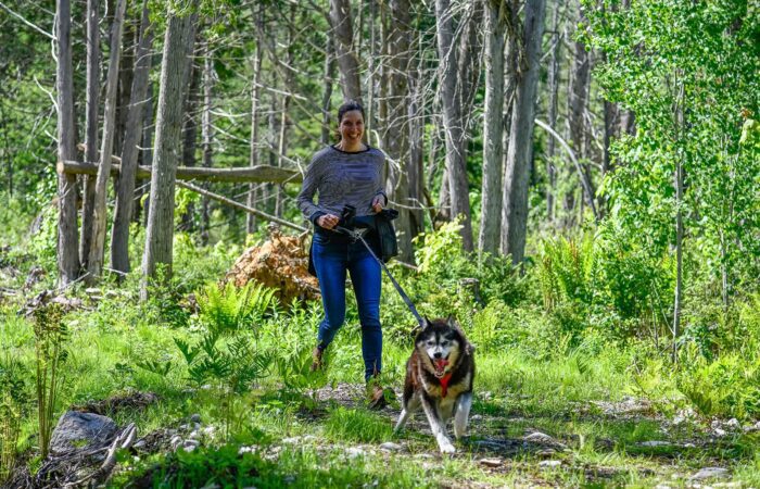 Une personne s'adonne à la cani-rando, c'est-à-dire qu'elle promène un gros chien en laisse le long d'un sentier forestier entouré d'arbres et de feuillages verts.