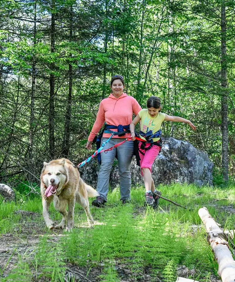 A woman and a child walk on a forest trail with a large dog on a leash pulling ahead. Trees and greenery surround them.