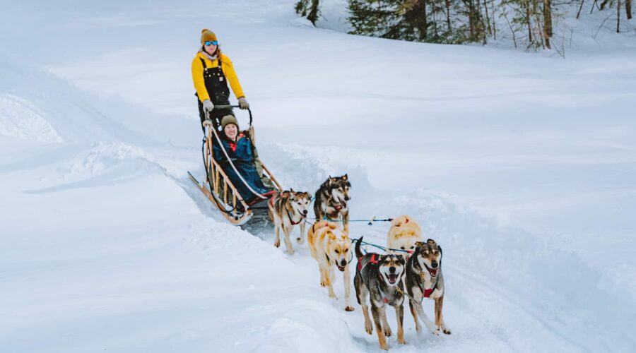 Two people riding a dog sled pulled by six dogs through a snowy landscape with trees in the background. Two people riding a dog sled pulled by six dogs through a snowy landscape with trees in the background.