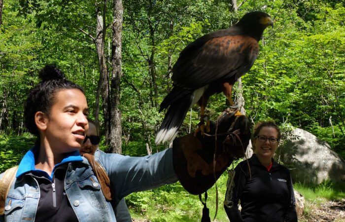 Lors d'une visite privée, un fauconnier tient un grand oiseau de proie sur une main gantée dans une zone forestière, tandis que deux autres personnes se tiennent à proximité et observent.