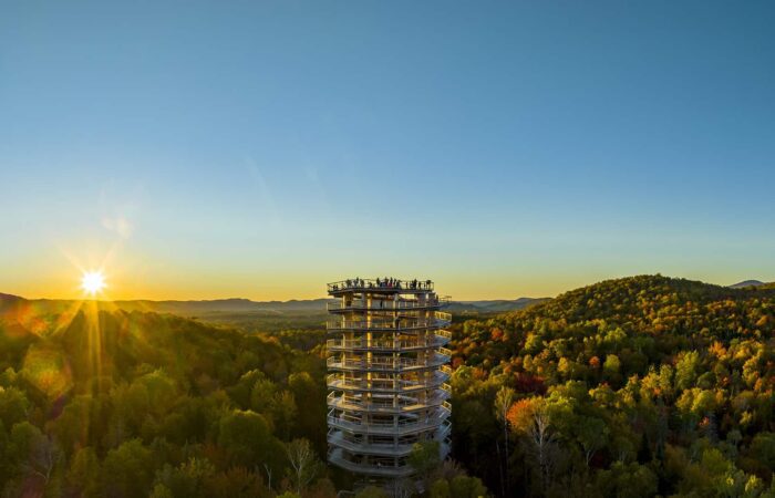 A tall observation tower rises above a dense forest with people on top, lit by a low sun setting over distant hills under a clear sky.