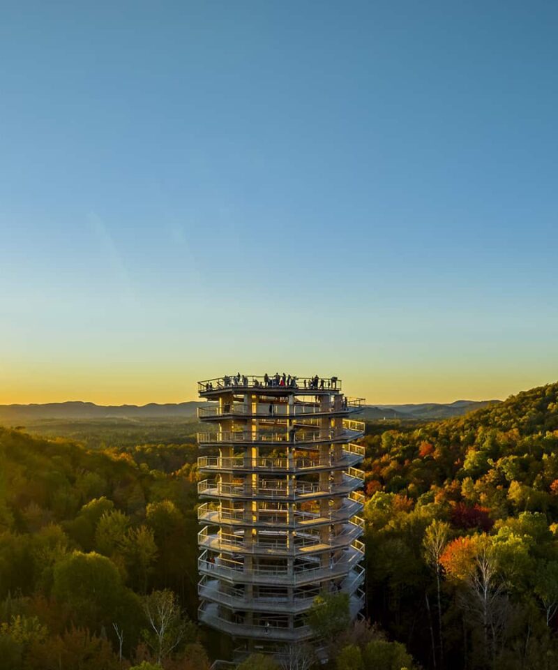 A tall observation tower rises above a dense forest with people on top, lit by a low sun setting over distant hills under a clear sky.