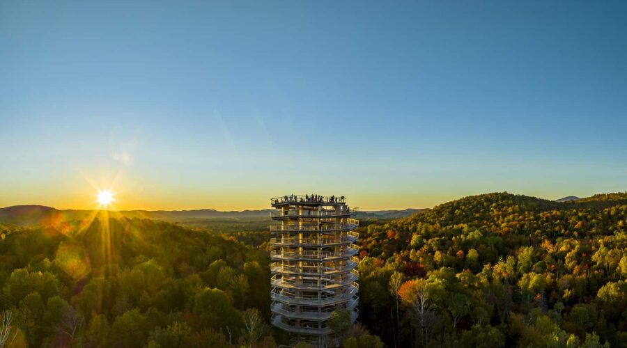 A tall observation tower rises above a dense forest with people on top, lit by a low sun setting over distant hills under a clear sky. A tall observation tower rises above a dense forest with people on top, lit by a low sun setting over distant hills under a clear sky.