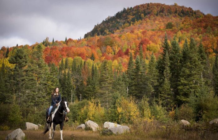 A person rides a black and white horse in a grassy area with rocks, in front of a forested hillside with autumn foliage in red, orange, and green colors.