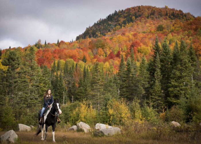 A person rides a black and white horse in a grassy area with rocks, in front of a forested hillside with autumn foliage in red, orange, and green colors.