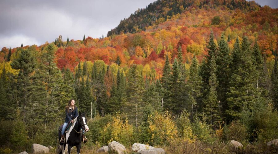 A person rides a black and white horse in a grassy area with rocks, in front of a forested hillside with autumn foliage in red, orange, and green colors.