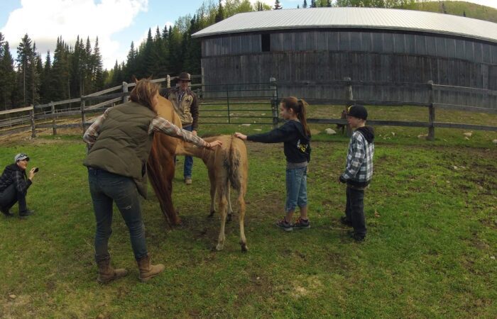 Quatre personnes et un enfant se tiennent dans un espace clôturé avec un cheval et son poulain lors d'une initiation pour enfants à l'équitation, tandis qu'un autre s'agenouille pour prendre une photo ; une grange et des arbres se trouvent à l'arrière-plan.