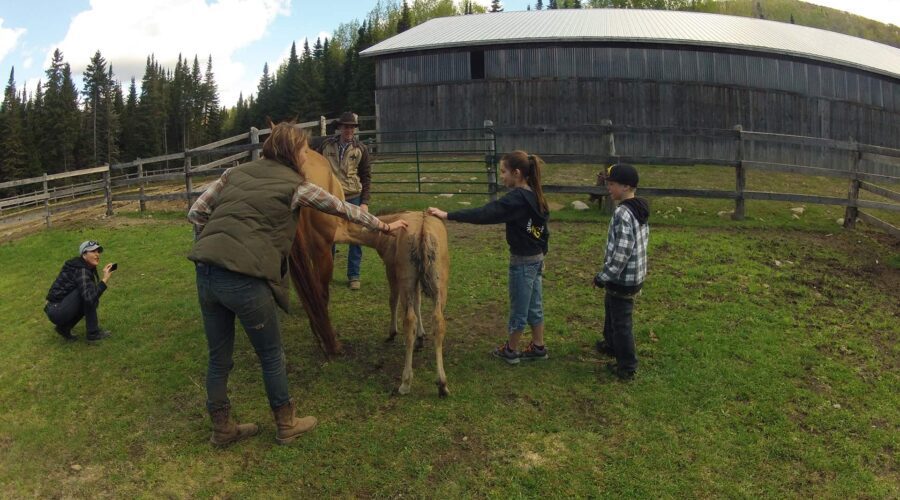 Quatre personnes et un enfant se tiennent dans un espace clôturé avec un cheval et son poulain lors d’une initiation pour enfants à l’équitation, tandis qu’un autre s’agenouille pour prendre une photo ; une grange et des arbres se trouvent à l’arrière-plan. Quatre personnes et un enfant se tiennent dans un espace clôturé avec un cheval et son poulain lors d'une initiation pour enfants à l'équitation, tandis qu'un autre s'agenouille pour prendre une photo ; une grange et des arbres se trouvent à l'arrière-plan.