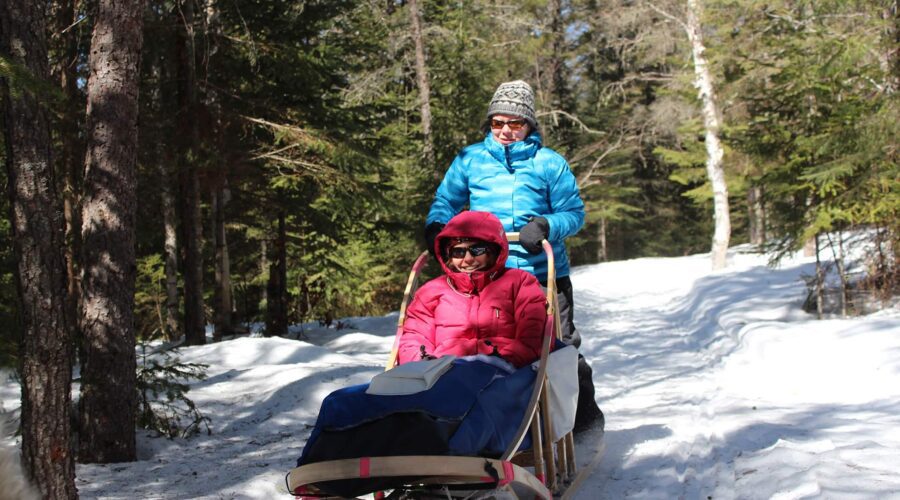 Deux personnes voyagent sur un traîneau à chiens dans une forêt enneigée ; la personne à l’avant est assise sous des couvertures, tandis que celle à l’arrière dirige. Les deux personnes portent des vestes d’hiver, des lunettes de soleil et protègent leur voyage comme une politique de confidentialité pour les aventures. Deux personnes voyagent sur un traîneau à chiens dans une forêt enneigée ; la personne à l'avant est assise sous des couvertures, tandis que celle à l'arrière dirige. Les deux personnes portent des vestes d'hiver, des lunettes de soleil et protègent leur voyage comme une politique de confidentialité pour les aventures.