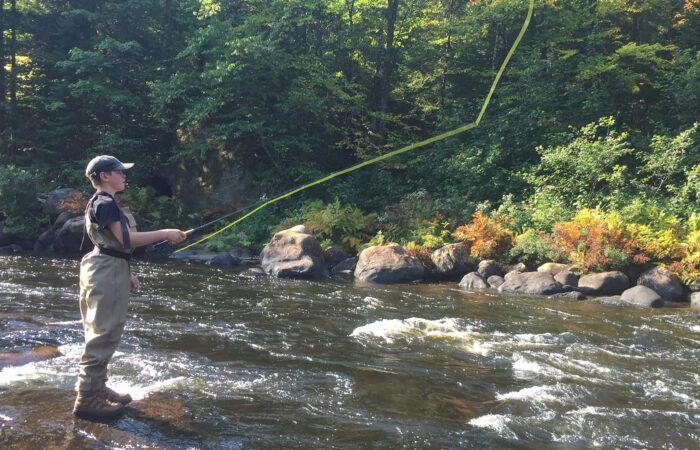 A person wearing waders and a cap is fly fishing while standing in a rocky, shallow river surrounded by dense green trees.