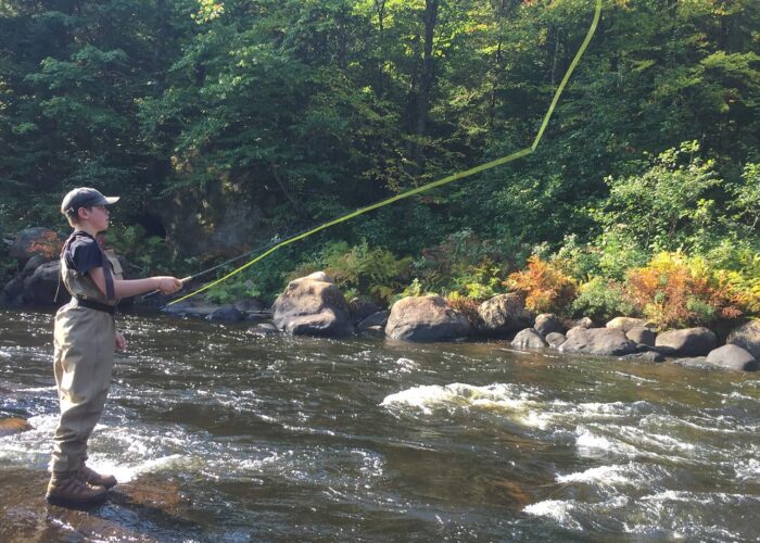 A person wearing waders and a cap is fly fishing while standing in a rocky, shallow river surrounded by dense green trees.