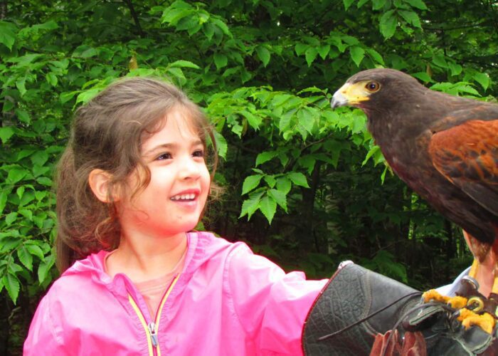 A young girl in a pink jacket smiles while holding a brown hawk on her gloved arm, with green foliage in the background.