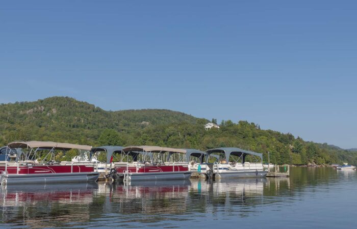 Several pontoon boats are docked along a calm shoreline with wooded hills and a clear blue sky in the background.