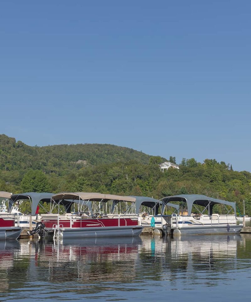 Several pontoon boats are docked along a calm shoreline with wooded hills and a clear blue sky in the background.