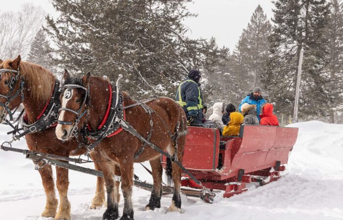 Two brown horses pull a red sleigh carrying several bundled-up people through a snowy landscape surrounded by evergreen trees.