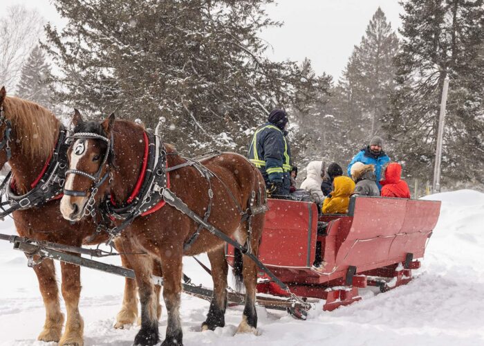 Two brown horses pull a red sleigh carrying several bundled-up people through a snowy landscape surrounded by evergreen trees.