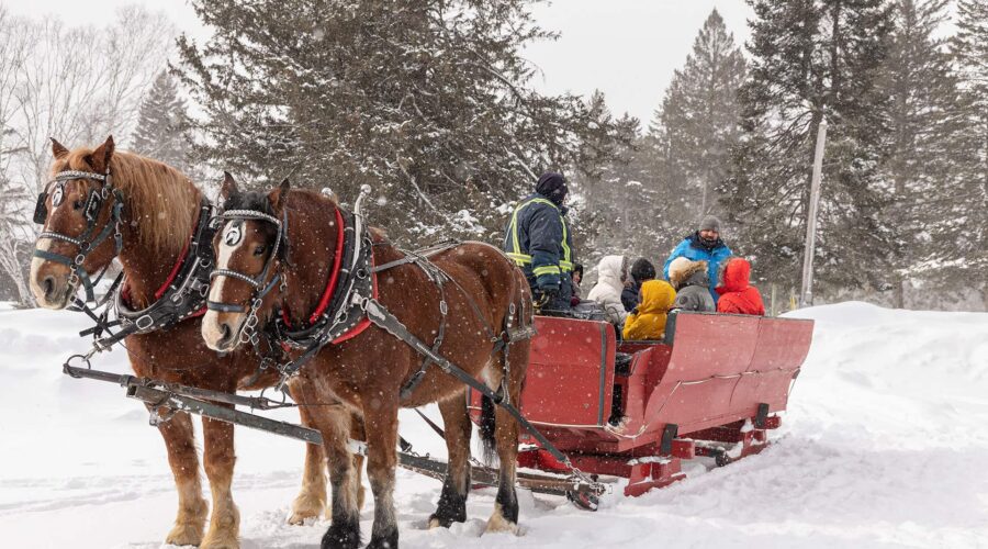 Two brown horses pull a red sleigh carrying several bundled-up people through a snowy landscape surrounded by evergreen trees. Two brown horses pull a red sleigh carrying several bundled-up people through a snowy landscape surrounded by evergreen trees.