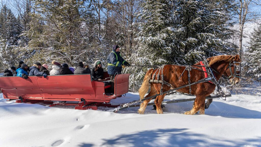 A group of people ride in a red horse-drawn sleigh through a snowy landscape with trees in the background.
