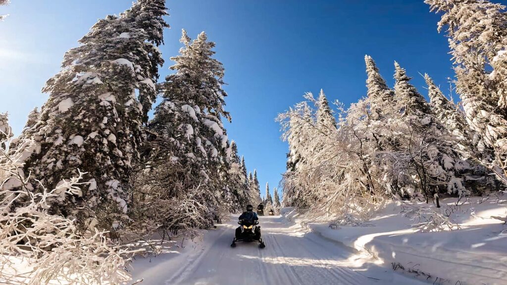 Person riding a snowmobile down a snow-covered trail surrounded by tall, snow-laden trees under a clear blue sky.