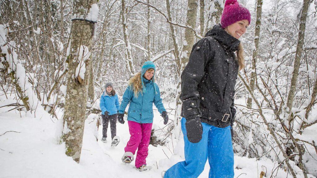 Three people walk through a snowy forest wearing winter clothes and snowshoes. Snow covers the ground and trees.
