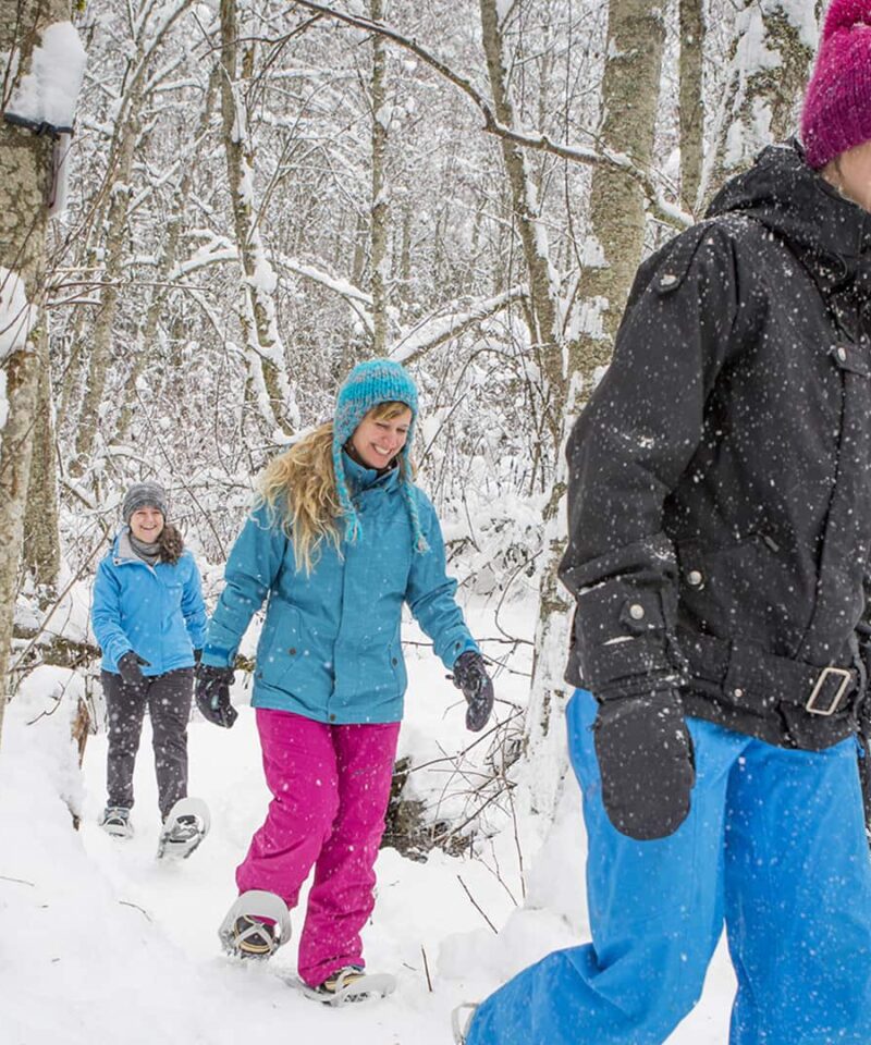 Three people walk through a snowy forest wearing winter clothes and snowshoes. Snow covers the ground and trees.