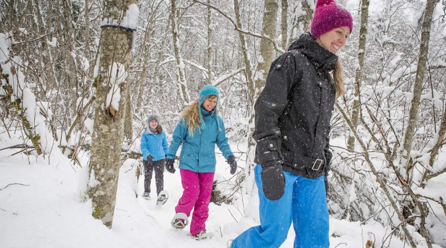 Three people walk through a snowy forest wearing winter clothes and snowshoes. Snow covers the ground and trees. Three people walk through a snowy forest wearing winter clothes and snowshoes. Snow covers the ground and trees.