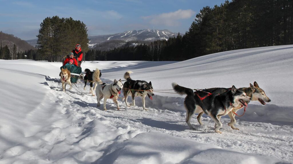 A team of sled dogs pulls two people on a sled through a snowy landscape with pine trees and mountains in the background.
