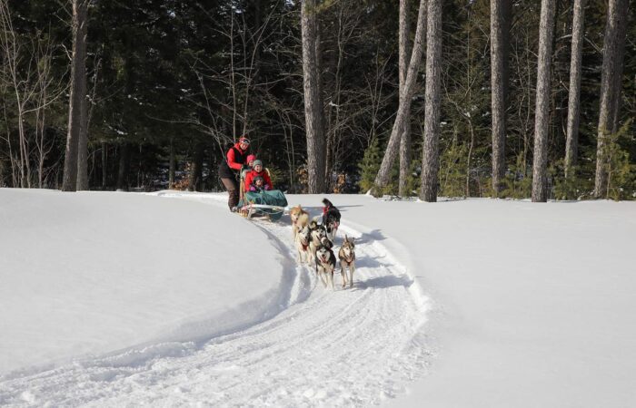 Two people ride a dog sled pulled by a team of huskies through a snowy forest trail on a clear winter day.
