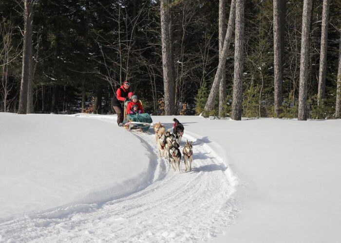 Two people ride a dog sled pulled by a team of huskies through a snowy forest trail on a clear winter day.