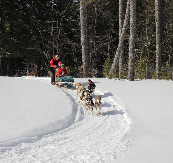 Two people ride a dog sled pulled by a team of huskies through a snowy forest trail on a clear winter day.