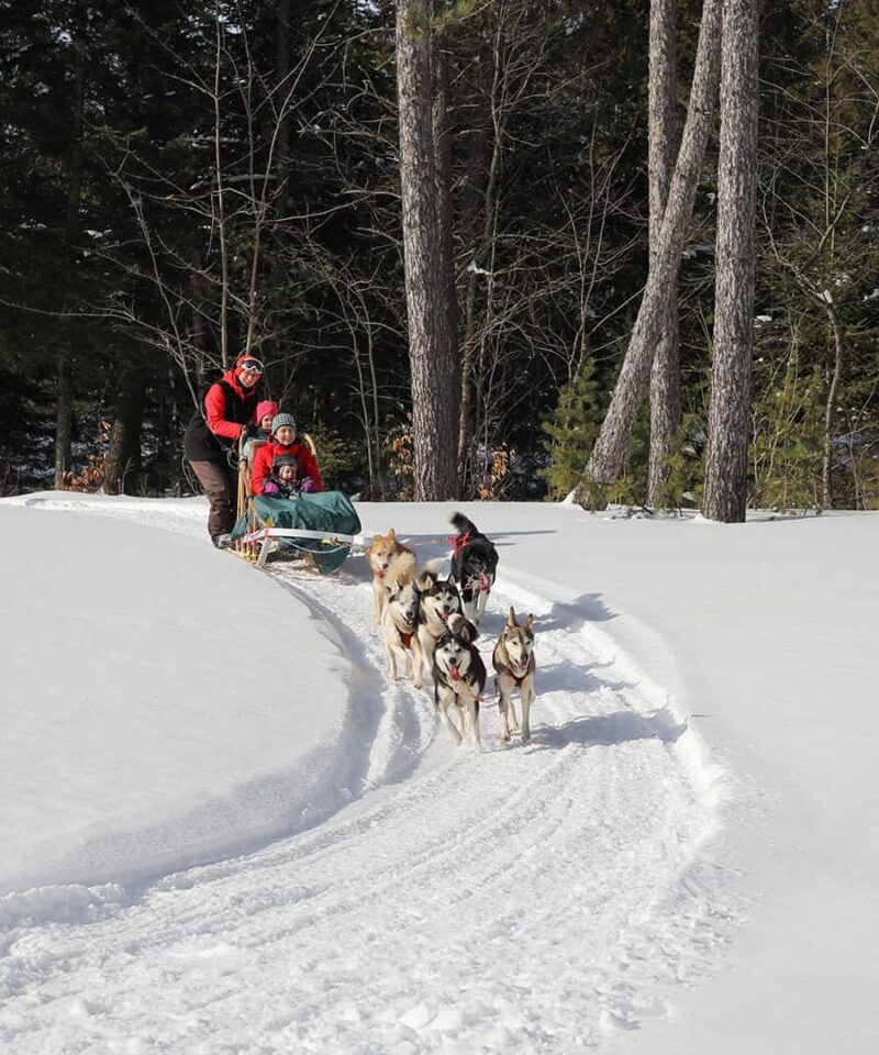 Deux personnes s'embarquent dans une aventure diable, à bord d'un traîneau à chiens tiré par des huskies, sur un sentier forestier enneigé par une belle journée d'hiver.