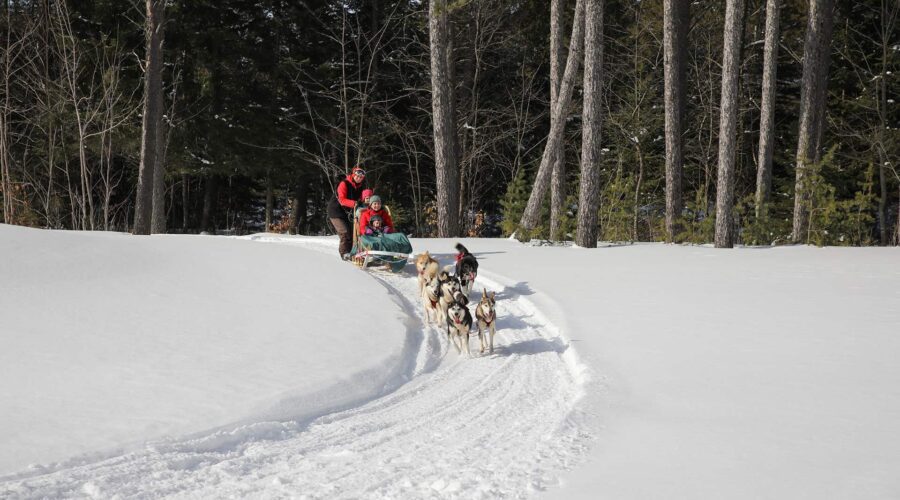 Two people ride a dog sled pulled by a team of huskies through a snowy forest trail on a clear winter day.