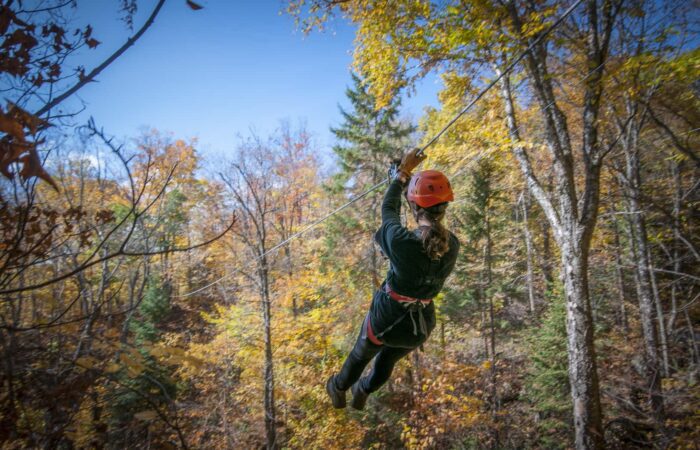 Person wearing a helmet and harness ziplining through a forest with autumn-colored trees under a clear blue sky.