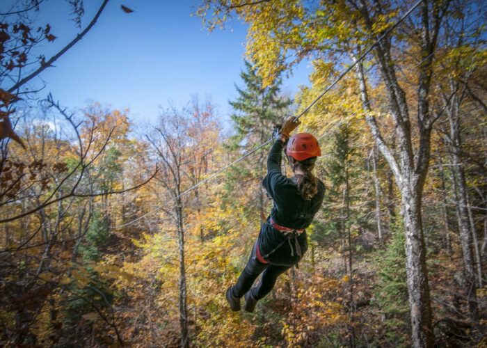 Person wearing a helmet and harness ziplining through a forest with autumn-colored trees under a clear blue sky.