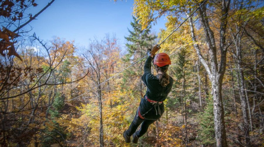 Person wearing a helmet and harness ziplining through a forest with autumn-colored trees under a clear blue sky. Person wearing a helmet and harness ziplining through a forest with autumn-colored trees under a clear blue sky.