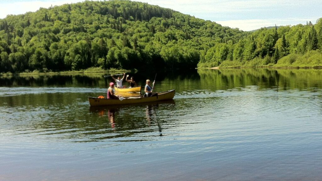 Two yellow canoes with people paddling on a calm lake, surrounded by green forested hills under a clear sky.