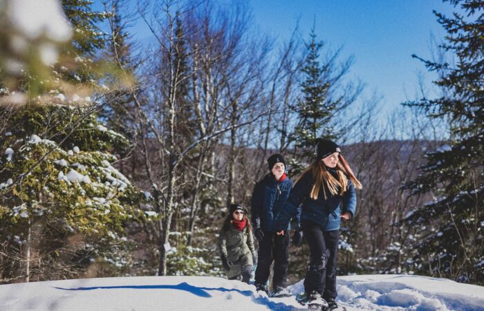 Trois personnes portant des vêtements d'hiver marchent sur un sentier enneigé avec des raquettes à travers une forêt d'arbres enneigés au Domaine Saint-Bernard sous un ciel bleu clair.