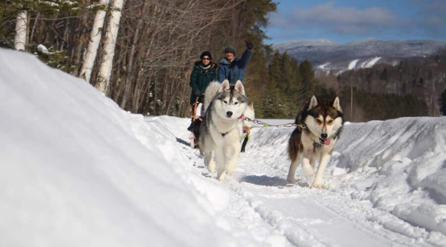 Two people ride a dog sled pulled by two huskies along a snowy trail with trees and mountains in the background. Two people ride a dog sled pulled by two huskies along a snowy trail with trees and mountains in the background.